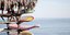 Beach bar