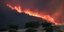 Mεγάλη πυρκαγιά στα Κρέστενα στην Ηλεία