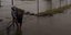 Πλημμύρες στη Χαλκιδική