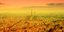 Φωτογραφία: Shutterstock