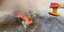 Πορτογαλία: Αναζωπυρώθηκε η πυρκαγιά στον εθνικό δρυμό - Στάχτη πάνω από 150.000 στρέμματα