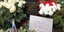Το γράμμα στον τάφο των γονιών του προέδρου της Ρωσίας, Βλαντιμίρ Πούτιν