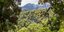 Άποψη από τη ζούγκλα Νταριέν στον Παναμά/ Φωτογραφία: Shutterstock