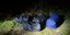Καστοριά: Εντοπίστηκαν περισσότερα από 74 κιλά κάνναβης σε ορεινή περιοχή