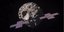 Η NASA ετοιμάζεται για την εξερεύνηση του αστεροειδούς «Ψυχή»