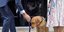 Ο νέος πρωθυπουργός της Βρετανίοας Ρίσι Σούνακ με τον σκύλο του, τη Νόβα