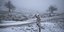 Πρώτα χιόνια στο Μέτσοβο 