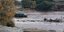 Έντονες βροχές στη Νάξο, παρασύρθηκαν αυτοκίνητα 
