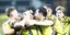 Η ΑΕΚ πανηγύρισε δεύτερη νίκη επί της Κηφισιάς και προκρίθηκε στα προημιτελικά του Κυπέλλου Ελλάδας