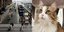 H γάτα Νέκο, που την πάτησε τρένο σε σταθμό στο Παρίσι