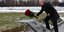 Ο Ρώοος πρόεδρος Πούτιν καταθέτει λουλούδια σε μνημείο πεσόντων κατά την πολιορκία του Λένινγκραντ το 1942