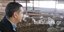Ο Αλέξης Τσίπρας σε μαντρί με πρόβατα στη Φιλύρα Τρικάλων