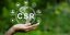 Εταιρική Κοινωνική Πολιτική-Οπτικοποίηση CSR