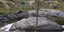 Λακκούβα με νεκρά ζώα στην Πάτρα