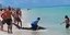 Νεαροί βασάνισαν καρχαρία 2,5 μέτρων σε παραλία της Φλόριντα