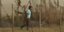 Η προσπάθεια νεαρού άνδρα να σώσει κοπάδι με πρόβατα στο Σέσκλο, στη μεγάλη φωτιά που έχει ξεσπάσει στη Μαγνησία
