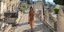 H Έμιλι Ραταϊκόφσκι με διάφανο φόρεμα και ελάχιστα εσώρουχα σε νεκροταφείο στη Γαλλία