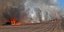 Τεράστια καταστροφή φυτικού και ζωϊκού πλούτου από τη φωτιά στη Μαγνησία