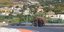 O ελέφαντας βγήκε για βόλτα στην κωμόπολη Αμάντεα της Καλαβρίας