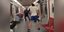 Καναδάς: Άγριος καυγάς στο μετρό του Τορόντο κατέληξε σε επίθεση με μαχαίρι -«Τον μαχαιρώνει, βοήθεια»