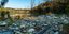 Λετονία: Ατύχημα σε εργοστάσιο επεξεργασίας λυμάτων, προκάλεσε ρύπανση των ακτών