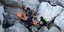 Ρέθυμνο: Επιχείρηση διάσωσης για 60χρονο σε φαράγγι στη Μονή Πρέβελης