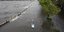 Ατομο κάνει κανό σε πλημμυρισμένη περιοχή στη Φλόριντα