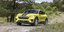 Ford Mustang Mach-E Rally