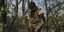 Ρώσος στρατιώτης σε δάσος