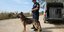 Συνοριοφύλακας στα ελληνοτουρκικά σύνορα στον Έβρο, μαζί με σκύλο