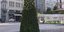 Εκλεψαν τις μπάλες από χριστουγεννιάτικο δένδρο στην πλατεία Κλαυθμώνος
