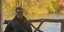 Ο Χιου Τζάκμαν ποζάρει χαμογελαστός στο Σέντραλ Παρκ