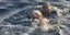 Ο παραολυμπιονίκης Χαράλαμπος Ταϊγανίδης κολυμπάει στα νερά της Κρήτης