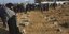 Ταφοι στη Γάζα με τσιμεντολιθους 