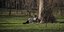 Χαλάρωση σε πάρκο στο Βουκουρέστι σε μια από τις πιο ζεστές μέρες του Φεβρουαρίου 2024