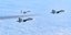 Μαχητικά του ΝΑΤΟ αναχαιτίζουν ρωσικό πολεμικό αεροσκάφος πάνω από τη Βαλτική