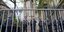 Αστυνομικοί στέκονται φρουροί έξω από την πανεπιστημιούπολη του Πανεπιστημίου Κολούμπια μετά την απομάκρυνση των διαδηλωτών