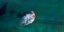 US DFC Officially Expresses Interest in Great Sea Interconnector Project