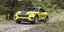Ford Mustang Mach-E Rally