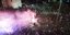 Celebrations explode in Thessaloniki after PAOK SuperLeague win