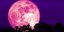 Φωτογραφία: Shutterstock