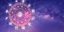 Ζώδια/Φωτογραφία: Shutterstock