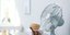 Φωτογραφία: Shutterstock
