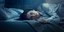 Η νέα συναρπαστική σειρά θρίλερ «Insomnia» κόβει την ανάσα στο Novacinema!