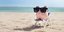 Φωτογραφία: Shutterstock