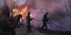International Firefighters Rally to Greece's Aid as Wildfire Threatens Athens