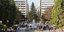 Το 20μ. φυσικο έλατο στην πλατεία Συντάγματος