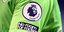 Διαιτητής Premier League