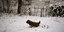 Winter Returns to Northern Greece as Cold Front Arrives