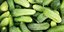 Φωτογραφία: Shutterstock